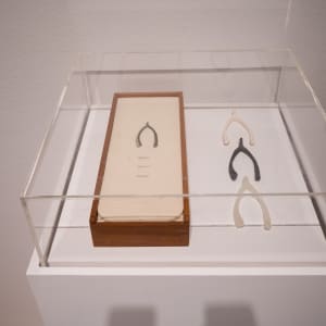 III (Three Wishbones in a Wood Box) by Lorna Simpson  Image: Installation image in "The Emotional Show" By Claire Hart.
