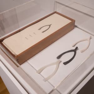 III (Three Wishbones in a Wood Box) by Lorna Simpson  Image: Installation image in "The Emotional Show" By Claire Hart.