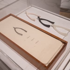 III (Three Wishbones in a Wood Box) by Lorna Simpson