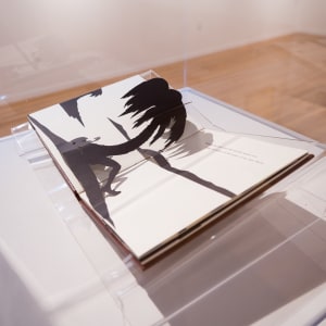 Freedom, a Fable: A Curious Interpretation of the Wit of a Negress in Troubled Times by Kara Walker  Image: Installation View, Courtesy of Marjorie Barrick Museum of Art (Photography by Claire Hart)