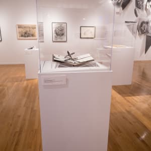 Freedom, a Fable: A Curious Interpretation of the Wit of a Negress in Troubled Times by Kara Walker  Image: Installation View, Courtesy of Marjorie Barrick Museum of Art (Photography by Claire Hart)