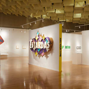 Estardas by Justin Favela  Image: "Am I Your Type" exhibition. Installation image by Becca Schwartz/UNLV Creative Services.
