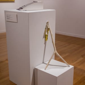 Rake by Andreana Donahue  Image: Shown with "Dowsing Rod (Missing Person)". Installation photo. Image Curtesy of Claire Hart