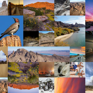 Google Image Search- Any Size, No Filter: "Avi Kwa Ame; Spirit Mountain Nevada.; More..." by Douglas McCulloh 