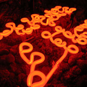 BEVERLY HILLS (Braille Silhouette) by Max Hooper Schneider  Image: Detail. Photo by LeiAnn Huddleston.