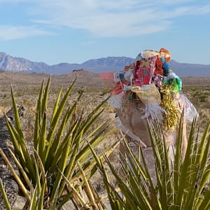 Desert Bonding by Adriana Chavez 