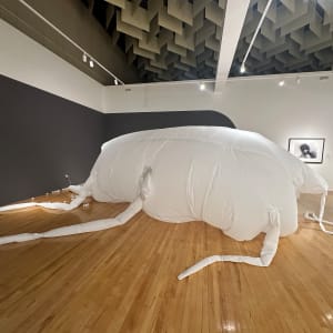 Mom-Roach (Birth Canal) by Lyssa Park