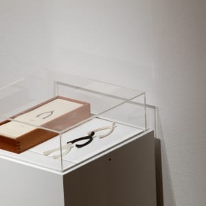 III (Three Wishbones in a Wood Box) by Lorna Simpson 