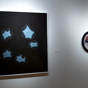 Malevolent Waters (Abyss) by Lance L. Smith  Image: Installation View, Courtesy of Marjorie Barrick Museum of Art (Photography by Ali Fathollahi)
