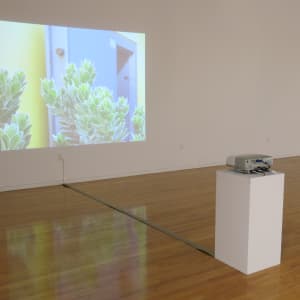 Department of Conservation by Marina Pinsky