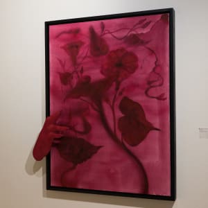 Ipomoea purga by Lance L. Smith  Image: Installation photo by Mikayla Whitmore