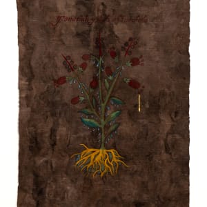 Plantas medicinales para el susto No. 1 (Tonatiuh yxiuh ahhuachcho) by Sandy Rodriguez