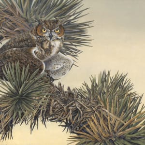 Eyes of Warning: Great Horned Owl in Joshua Tree by Sharon Schafer