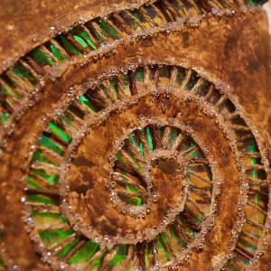 The Natural Spiral by Chancelar Isa, Lara Luzano  Image: Installation image by Becca Schwartz/UNLV Creative Services.