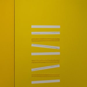 Tangerine and Lemon from the exhibition Yoko Kondo Konopik On