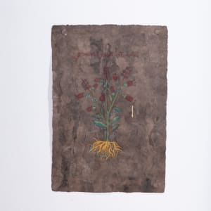 Plantas medicinales para el susto No. 1 (Tonatiuh yxiuh ahhuachcho) by Sandy Rodriguez  Image: Sandy Rodriguez, Plantas medicinales para el susto No. 1 (Tonatiuh yxiuh ahhuachcho), View, Marjorie Barrick Museum of Art, Documentation by Krystal Ramirez