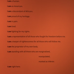 I AM / I AM NOT by Ashley Hairston Doughty  Image: Installation photo by Mikayla Whitmore