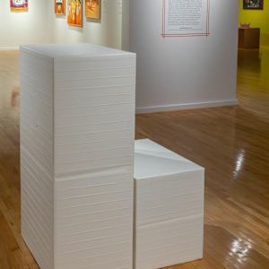 Balikbayan Series: Junior by Sherwin Rivera Tibayan  Image: Installation View, Courtesy of Marjorie Barrick Museum of Art (Photography by Krystal Ramirez)