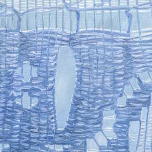 Curtain by Cindy Wright  Image: Courtesy of Marjorie Barrick Museum of Art (Photography by Krystal Ramirez)