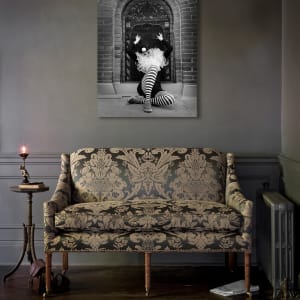 Pierrot, Victoria  Image: Acrylic in interior