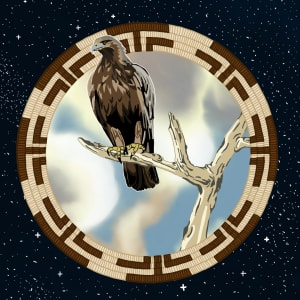 Hawk Wonders by Meyo Marrufo