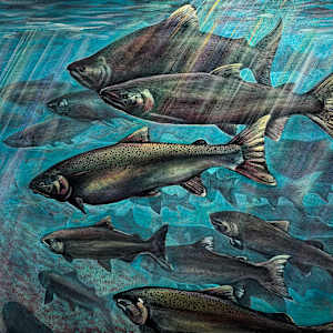 Sacred Salmon Shimmer by Katie Rose Rainbow Maker