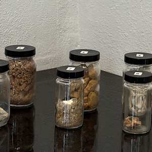 Samples of Wild Clay & Minerals by Jacque Adams