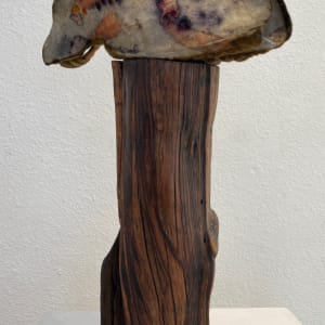 Outside Inside 2, Outside I by Alana Clearlake