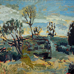 Chaparral #2 by Darren  Jekel