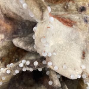 Altered Forms V by Alana Clearlake  Image: Altered Forms V, detail