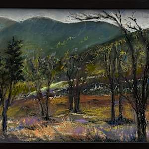 Trailside Park, Struggling, New Growth by Karen Magnuson