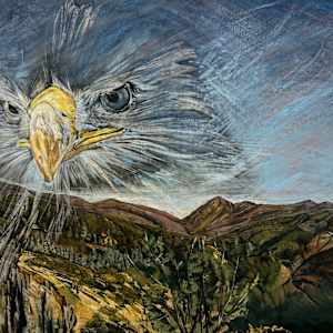 An Eagle's Perspective by Catalina Gonzalez