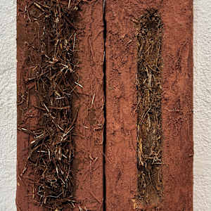 Complementary by Lisa Kaplan