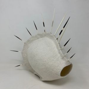 The White Album, Porcupine by Alana Clearlake