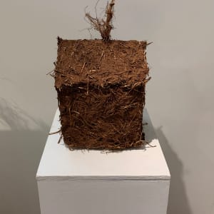 House #3 by Lisa Kaplan