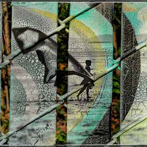 Pinned Wings by Becky Jaffee  Image: Another perspective