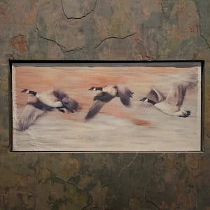 Wild Geese by Becky Jaffee