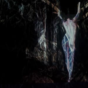 In Between Worlds by Priyatam Mudavarti