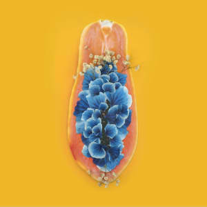 Edible Flower by Marryam Moma