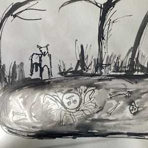 Narcissus by Fflur Donnghaile Mac Siacais