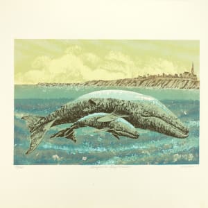California Gray Whales    no. 30/165 by J.D. Mayhew