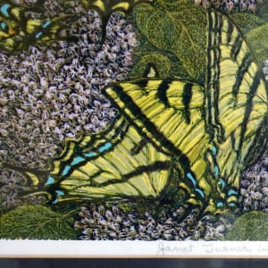 Swallowtails on Lilacs  22/85 by Janet  Turner 
