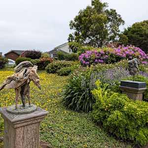 Yard Bird by Maxine Kim Stussy Frankel, Image 2.
