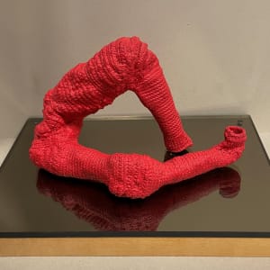 Red Legs by Barbara Shawcroft