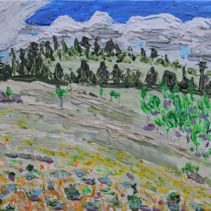 Colorado Vision Fast