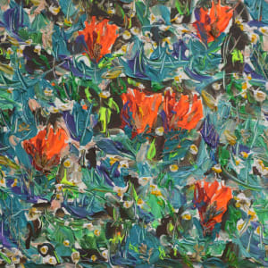 Colarado Vision Fast