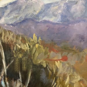 Path Towards The Swartberg by Janet Dixon 