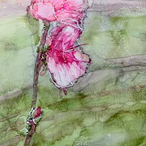Apple Blossom by Janet Dixon