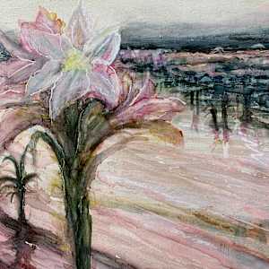 Sunrise at Lelieshof Farm by Janet Dixon 