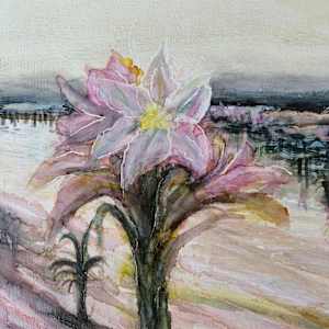 Sunrise at Lelieshof Farm by Janet Dixon 